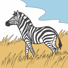 zebra vector illustration