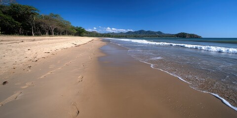 Obraz premium A sunlit beach stretches into the distance, with gentle waves lapping the shore under a vivid blue sky.