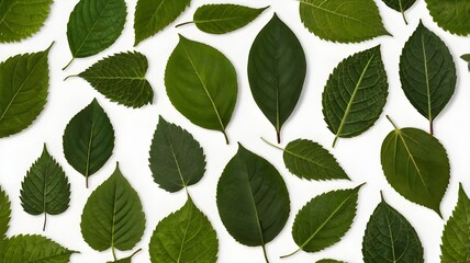 seamless pattern with leaves