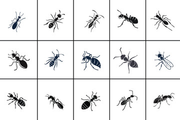 Ant Silhouette vector Collection set design