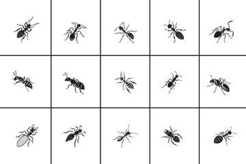Ant Silhouette vector Collection set design