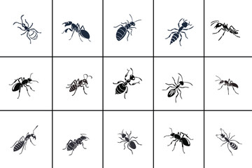 Ant Silhouette vector Collection set design