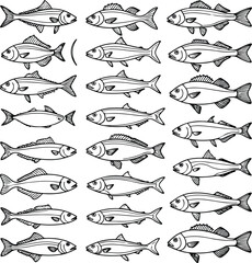fish illustrated in a flat, line art style. The fish should be diverse in shape and size, showcasing unique characteristics such as fins, scales, and facial features 3.eps