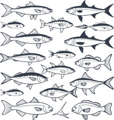 fish illustrated in a flat, line art style. The fish should be diverse in shape and size, showcasing unique characteristics such as fins, scales, and facial features 8.eps