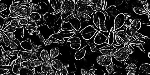 Abstrakcyjna textura, overlay, oryginalny czarno biały wzór, do projektu © anettastar