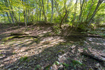 sunny day, nature park, river bottom, walk along the riverbank with an overview of the bottom structure