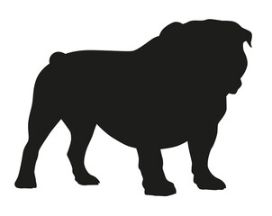 Silhouette of Bulldog, black color, strong and loyal representation