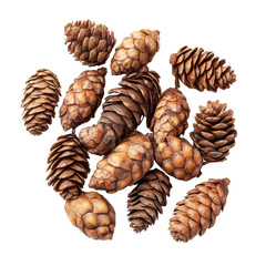 Obraz premium Pine seeds isolated on a transparent background displaying various shapes and sizes for educational purposes, pine seeds isolated on transparent backgroundfile