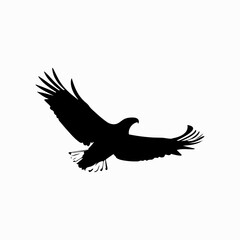 Bald Eagle flying in the sky silhouette vector design