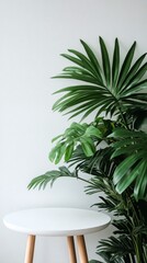 Obraz premium Elegant green tropical plants beside a white round table in a minimalist interior setting