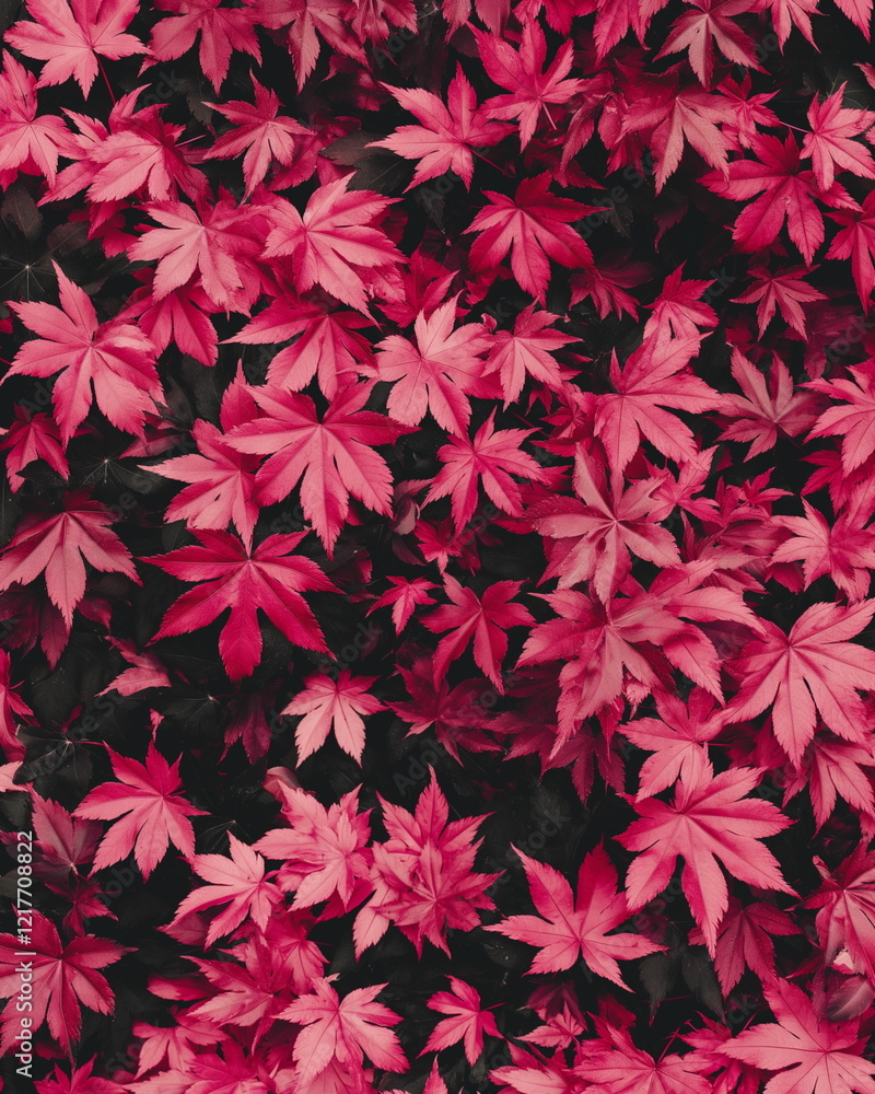 Poster fine lines representing maple leaves with a metall_003