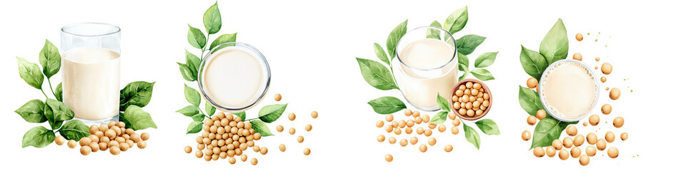 Watercolor  of Soy Milk and Soybeans