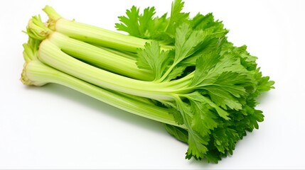 Fresh Chinese Celery Vegetable Isolated on White Background for Vegetarian Food Concept