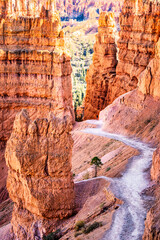 Navajo loop trail in Bryce Canyon National Park, Utah. Bryce Canyon is a collection of giant natural amphitheaters along the eastern side of the Paunsaugunt Plateau