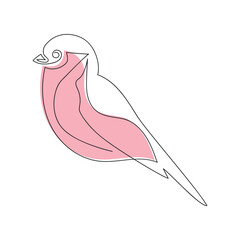 Bullfinch in one continuous line. One line drawing, minimalism. Vector illustration.