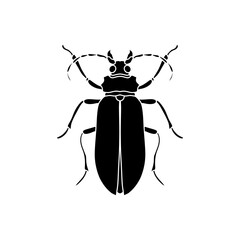black and white insects vector illustration isolated on white background