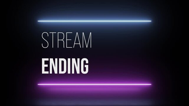 Cyberpunk Stream Ending Overlay