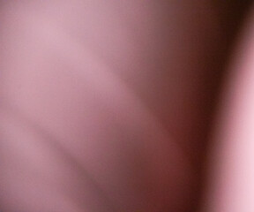 abstract pink modern gradient background