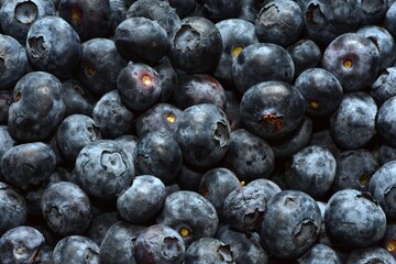 Fresh juicy bilberries all over the screen top view. Background of close up bilberries.