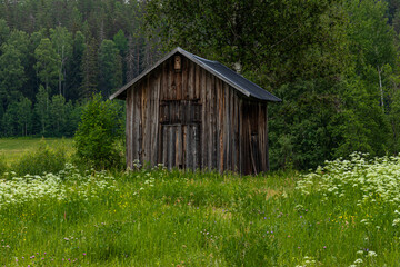 The cottage in Swidish countryside