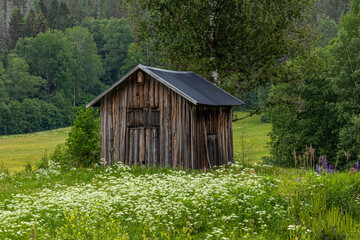 The cottage in Swidish countryside