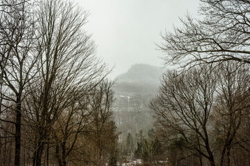 Winter Landscape