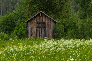 The cottage in Swidish countryside