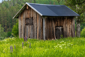 The cottage in Swidish countryside