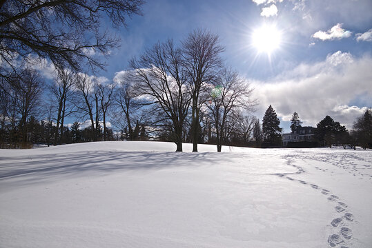 Footprints in fresh snow on a winter day