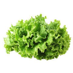 Fresh green lettuce on a bright transparent background perfect for healthy meal preparation and culinary uses, Fresh green lettuce isolated on transparent background