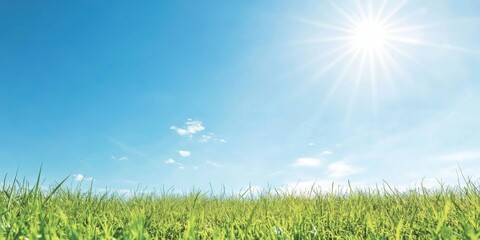 Obraz premium A Vibrant and Lush Summer Field Sprawling Beautifully Beneath a Bright and Clear Blue Sky