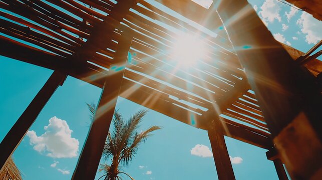 Sun shining through a pergola's wooden beams, palm tree visible.