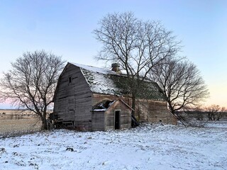 An old barn, nested in a grove of trees on a farmstead