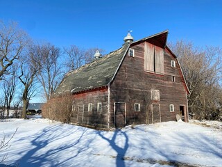 An old abandoned barn nested in a grove