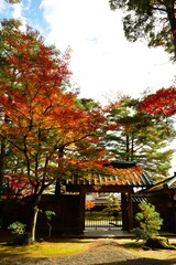 市島邸の紅葉（新潟県）