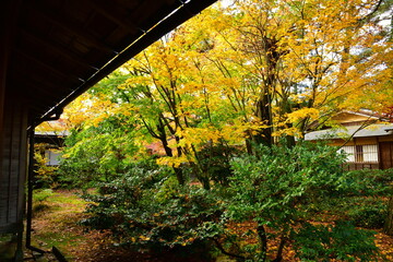 市島邸の紅葉（新潟県）