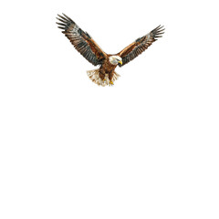 Fototapeta premium Majestic eagle flying over lush canyon
