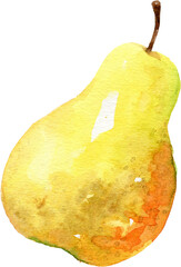 Watercolor Whole Yellow Pear Clipart for Food and Natural Art Design