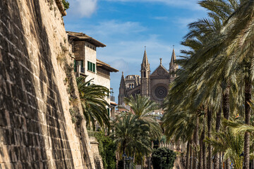 The esplanade Passeig de Sagrera with view to Cathedral of Santa Maria of Palma or La Seu, Palma,...