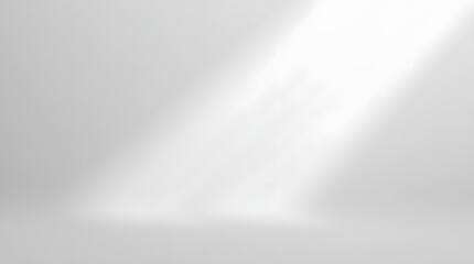 Abstract white background with white light and grey shadow	

