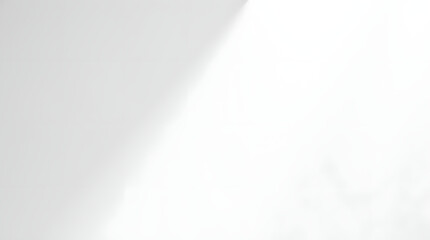 Abstract white background with white light and grey shadow	
