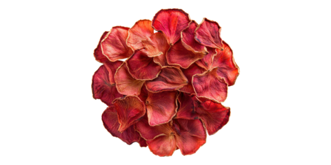 Cluster of dried red rose petals isolated on transparent background