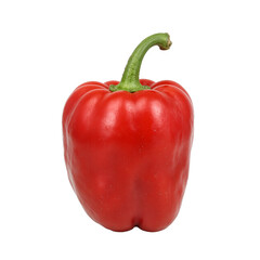 Vibrant red chili pepper against white backdrop detailed texture and color