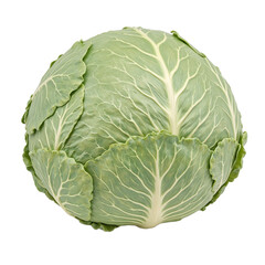 Fototapeta premium Fresh green cabbage on white background