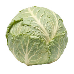 Fototapeta premium Fresh green cabbage on white background