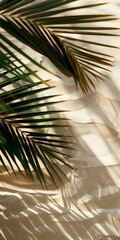 Fototapeta premium Tropical palm leaves casting soft shadows on beige wall, creating natural sunlight pattern perfect for luxury spa, resort or wellness background design aesthetic.