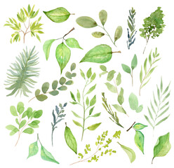 Set of Watercolor Green Leaves Clipart for Botanical and Natural Design. A collection of hand-painted watercolor green leaves in various styles and shapes. Ideal for botanical designs, eco-themed 