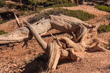 Bryce Canyon National Park