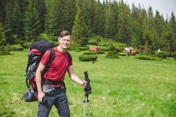 Young man hiker traveling with backpack in the Carpathian Mountains with horses on the background....