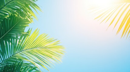 Lush green palm leaves against a bright blue sky with sunlight peeking through.